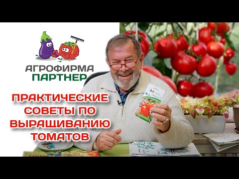 Видео: Новинки томатов | Советы по выращиванию | И немного об актинидии  #лекция #огород