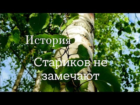 Видео: История. Старение