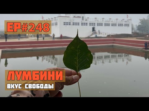 Видео: 248. Переход границы Непал - Индия.