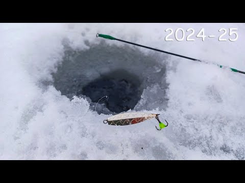Видео: ВОТ ЭТО Рыбалка! БЛЕСНА РАЗДАЁТ! Зимняя ловля со льда 2024-25