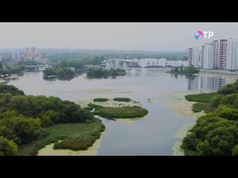 Видео: Нерассказанные истории Симбирска. Сурский треугольник. Смерть под мостом. Загадки Свияжской аномалии