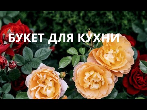 Видео: Набор для кухни.Подставка под горячее и прихватки.(март 2025г)