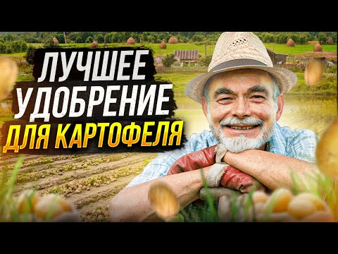 Видео: Как выбрать лучшее удобрение для картофеля?