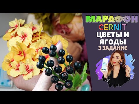 Видео: CERNIT Марафон. Третье задание | Цветы и ягоды