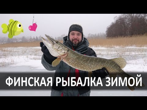 Видео: Зимняя Рыбалка в Финляндии 2019. Winter Fishing in Finland 2019 (Tammisaari)