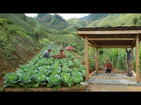 Видео: ПОЛНОЕ ВИДЕО: 100 дней строительства дома, ухода за фермой и сбора урожая во Вьетнаме во Вьетнаме