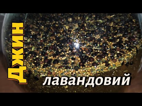 Видео: Джин лавандовий. Початок.