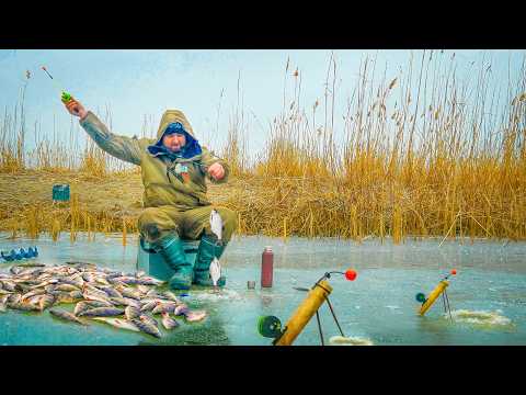 Видео: ДА ТУТ РЫБЫ БОЛЬШЕ ЧЕМ ВОДЫ! ОПУСТИЛ КАМЕРУ ПОД ЛЕД И ОФИГЕЛ! ЗИМНЯЯ РЫБАЛКА 2025