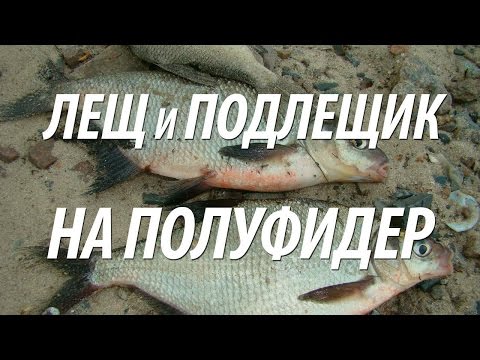 Видео: КАК ЛОВИТЬ ЛЕЩА И ПОДЛЕЩИКА НА ТРУДНЫХ ВОДОЁМАХ СНАСТЬЮ ПОЛУФИДЕР