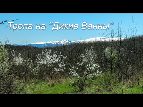 Видео: Альтернативная тропа на "Дикие ванны" / Хадыженск
