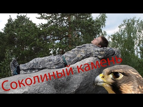 Видео: Северка, Соколиный камень, вековые лиственницы и золотые прииски, природа и история Урала