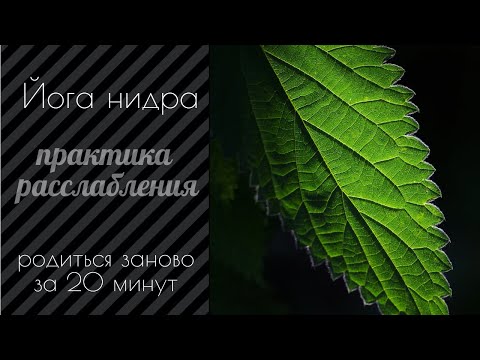 Видео: Йога нидра | родись заново за 20 минут | практика расслабления и медитации | йога сна