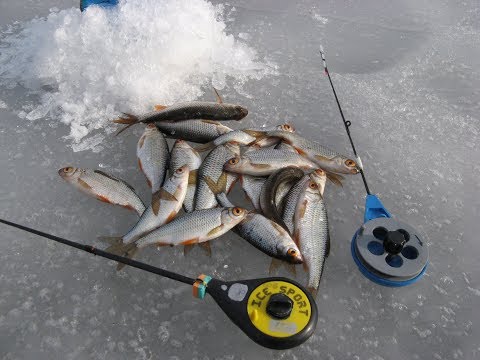 Видео: Кивок для гвоздекубика   Какой лучше