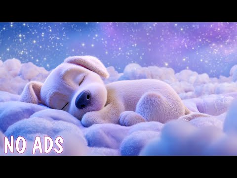 Видео: 1 час музыки для снятия стресса 🐶🎵музыка для уменьшения тревоги разлуки
