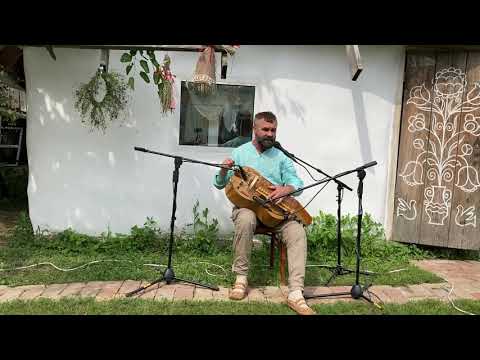 Видео: Гамерика. (заробітчанська). Лірник Андрій Ляшук.