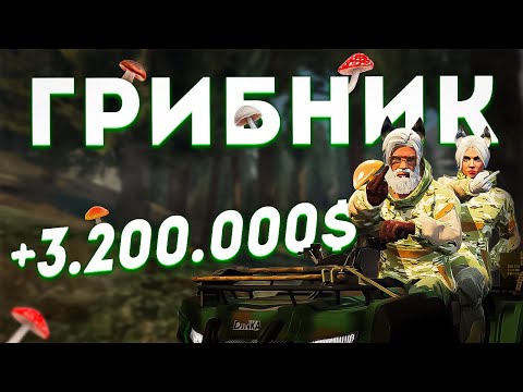 Видео: Фарм больше чем на Дальнобойщике! Все о работе Грибника на GTA 5 RP (Majestic)