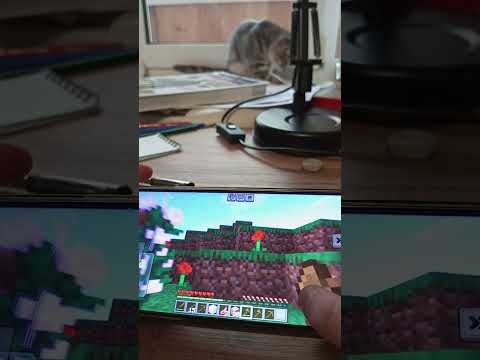 Видео: играю в майнкрафт
