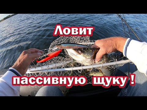 Видео: Уловистый воблер с Алиэкспрэсс!!! Воблер однозначно для пассивной щуки. Ловит на медленной проводке.