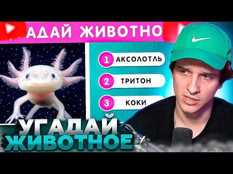 Видео: МЕЛЛШЕР СМОТРИТ: УГАДАЙ ЖИВОТНОЕ ПО ФОТО🤔🐺🦊🦥 EMOJI COOL 😎