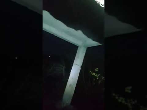 Видео: Издирване на Сашко в Перник - претърсване на огромна, изоставена сграда (част 2)