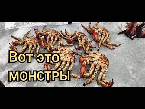 Видео: КРАБалка. Открытие СЕЗОНа. Первый ЛЁД 2023 //CRAB boat Opening of the season First ice 2023//