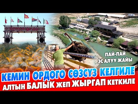Видео: КЕМИН ОРДО пай-пай экен ~ Алтын БАЛЫК жана ТАМАКТЫН түрү ~ Кымыз, зоопарк, хостел, топчандар бар