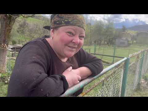 Видео: Жити в горах. На кордоні з Львівщиною. На межі село Сухий, Закарпаття. Ужанська долина.