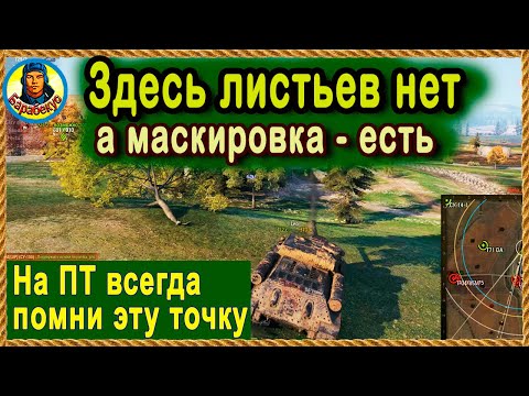 Видео: НЕВИДИМЫЕ ЛИСТЬЯ на позиции для ПТ. Линия Зигфрида. СУ-100 Карта-WOT WORLD of TANKS