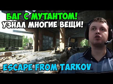 Видео: Папич играет в Tarkov! Баг с мутантом!
