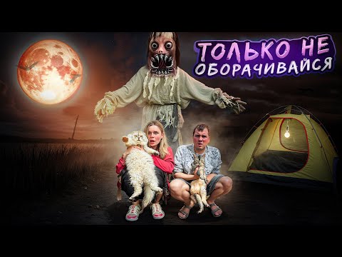 Видео: ЫРКА В РЕАЛЬНОЙ ЖИЗНИ В НАШЕЙ ТРЁХКОМНАТНОЙ ПАЛАТКЕ С КОТАМИ И СОБАКОЙ