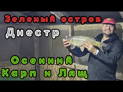 Видео: Зеленый остров, Днестр. Осенний КАРП и ЛЯЩ. 27.10.24#fishing #рыбалка #днестр