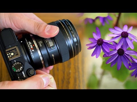 Видео: «Полнокадровые» снимки на Canon EOS M? Обзор адаптера Viltrox EF-EOS M2 0.71x