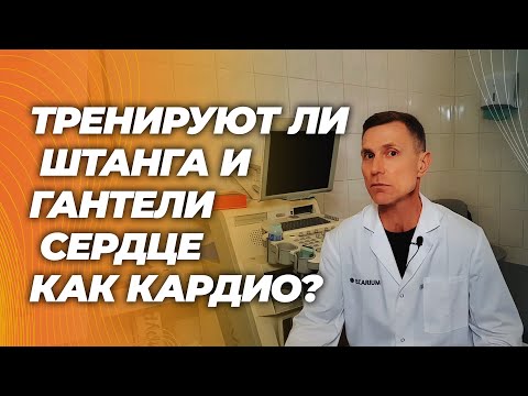 Видео: Тренировка в зоне 2 против силовых: тренируют ли штанга и гантели сердце как кардио?