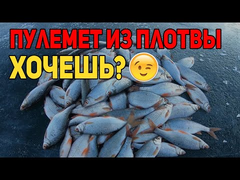 Видео: Ловля плотвы. Как найти плотву зимой?