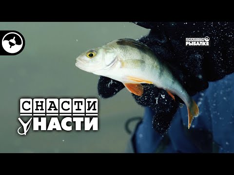 Видео: Зимний фидер в Марьино | Снасти у Насти