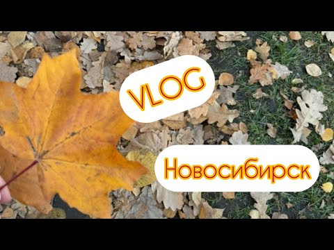 Видео: VLOG: клуб Стиль, всей семьей на Арену!