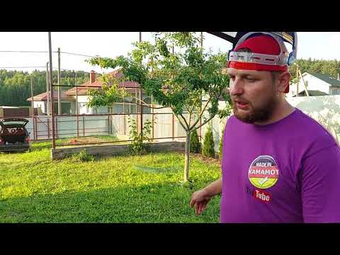 Видео: БЕНЗОТРИММЕР косит на чистом бензине без масла МИФ или РЕАЛЬНОСТЬ? Последствия. Поршневая ДО и ПОСЛЕ