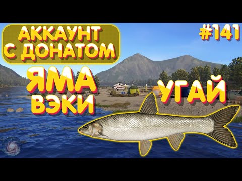 Видео: Аккаунт с донатом #141 | Яма - Вэки | Краснопёр-Угай крупночешуйчатый | Русская Рыбалка 4