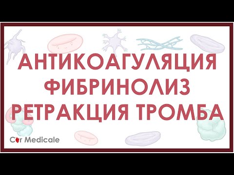 Видео: Антикоагуляция, фибринолиз, ретракция тромба - механизм кратко | Физиология