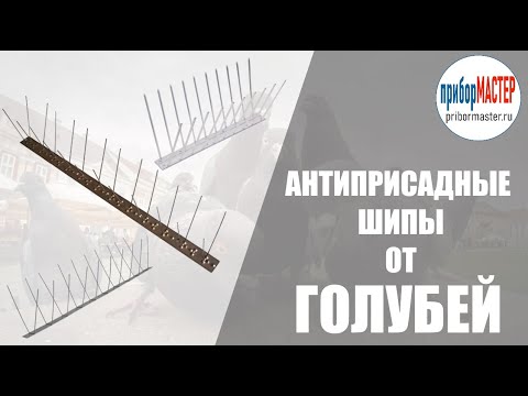 Видео: Антиприсадные шипы от голубей