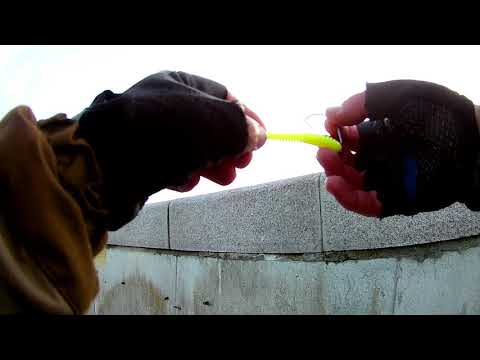 Видео: Судак на дамбе Финского залива!