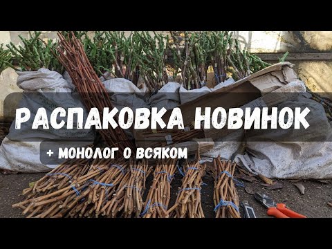 Видео: Распаковка новинок + монолог о всяком