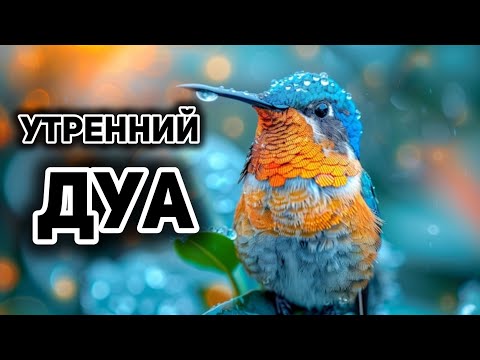 Видео: УТРЕННИЙ ДУА أذكار الصباح ЗАЩИТИТЬ ВАС ВЕСЬ ДЕНЬ | СЛУШАЙТЕ КАЖДОЕ УТРО!