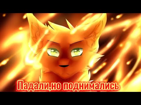 Видео: Коты Воители Огнезвезд Клип — Падали,но поднимались Заказ