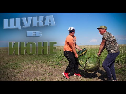 Видео: ЩУЧИЙ ЖОР рыбалка на спиннинг 2023