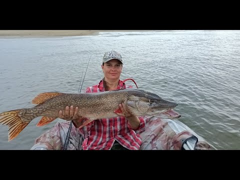 Видео: Трофейная рыбалка на Оби  Часть2