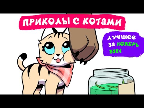 Видео: Приколы с котами. ЛУЧШЕЕ ЗА НОЯБРЬ 2021 | Мемозг