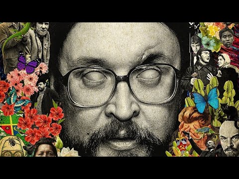 Видео: Почти все альбомы Гражданской Обороны