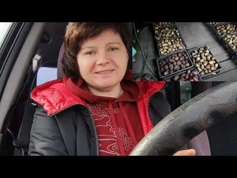 Видео: Направление то же,  а дорога новая!