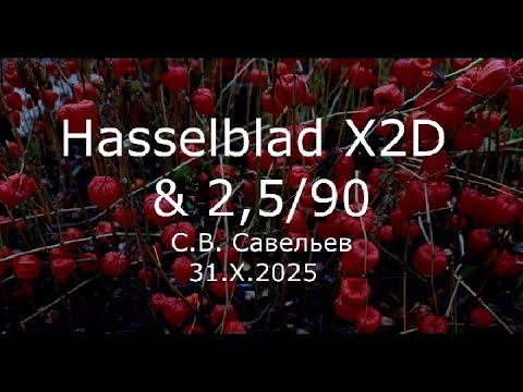 Видео: С.В. Савельев - Hasselblad X2D & 2,5/90